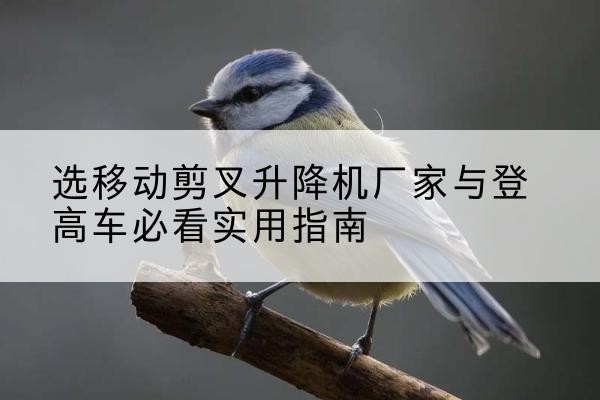 韶山电动升降机厂家-选移动剪叉升降机厂家与登高车必看实用指南