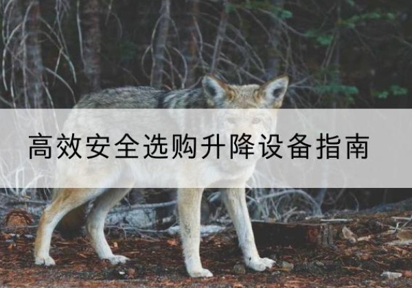 韶山升降货梯厂家推荐-*安全选购升降设备指南